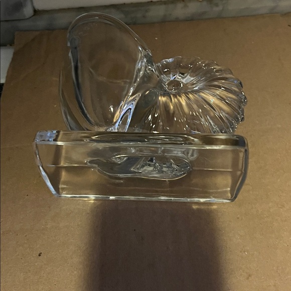 Elegant Clear Glass Nautilus Vase - Picture 4 of 4